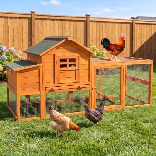 RUNSHED 76" Wooden Coop with Run