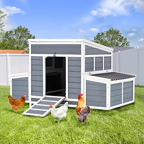 AECOJOY 56" Coop with 6 Nesting Boxes