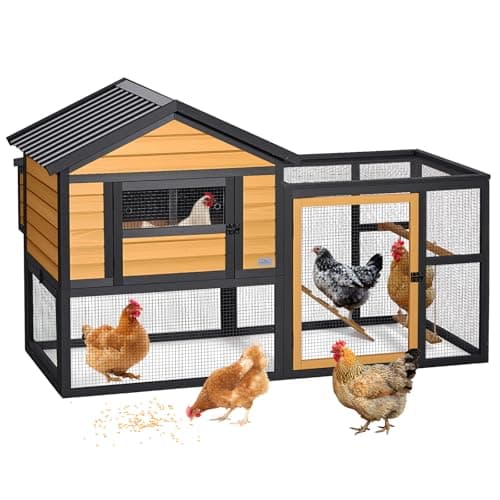 Petsfit Outdoor Coop with Run