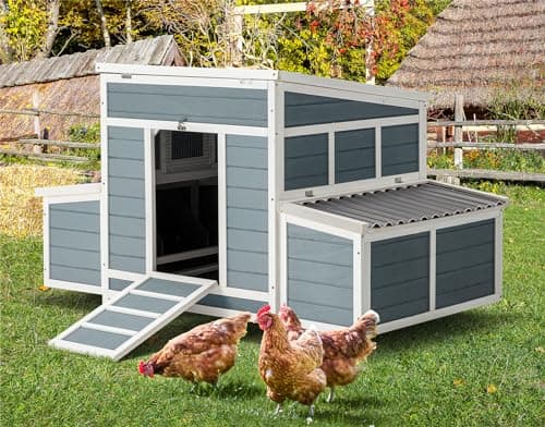 AECOJOY 56" Coop with 6 Nesting Boxes