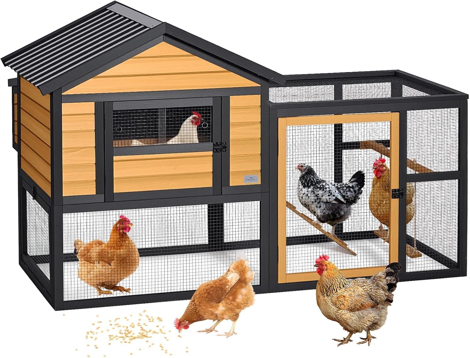 Petsfit Outdoor Coop with Run