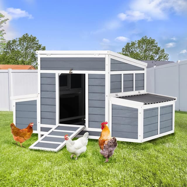 AECOJOY 56" Coop with 6 Nesting Boxes