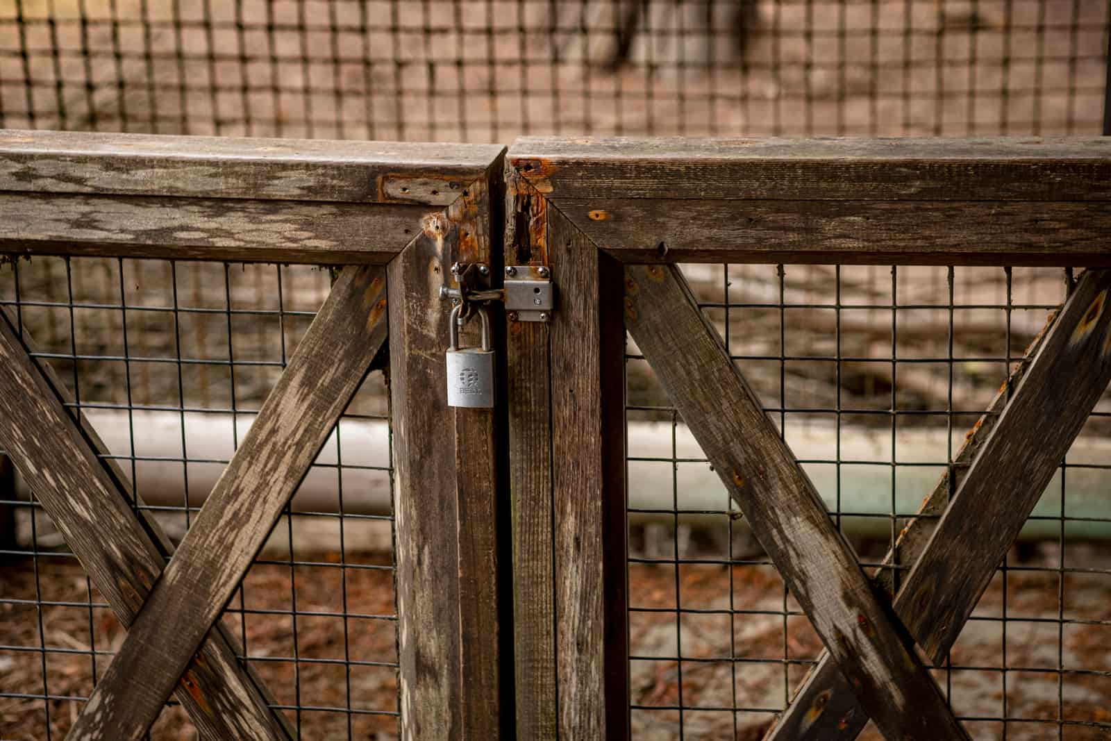 A padlocked bolt on a wooden gate